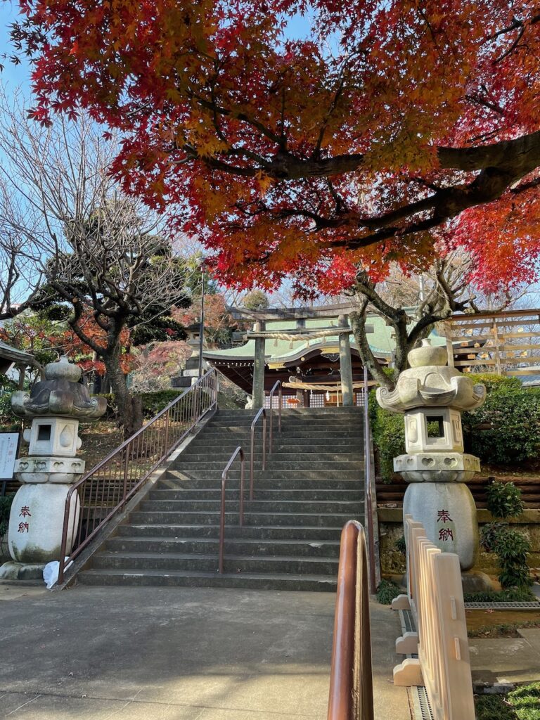 A torii and sanctuary, seen from beneath a red-leaved maple.